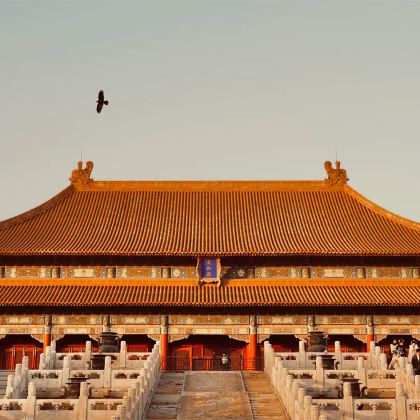 博物馆讲解·北京半日故宫博物院亲子营|【3.5小时深度讲解.大咖讲师专场.亲子研学.全景故宫】