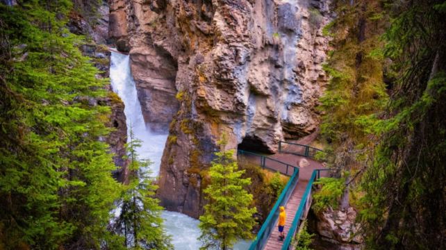 4-Day Canadian Rockies Scenic Group Tour from Calgary·Banff, Lake Louise, Jasper & Columbia Icefield, Scenic Lakes, Canyon Hikes, Ice Explorer & Maligne Lake Cruise | Max 24 Guests