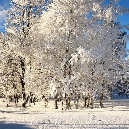 芬兰赫尔辛基+塔林+罗瓦涅米+凯米+拉努阿+萨尼色尔卡9日8晚私家团