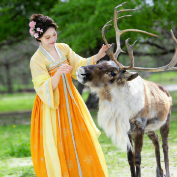 长白山3日2晚私家团