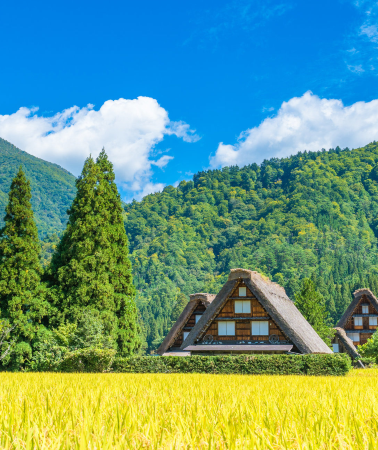 7D6N • Central Japan Heritage Escape: Takayama Old Town, Shirakawa-go Village, Kanazawa Gardens, Gero Onsen & Nagoya Highlights