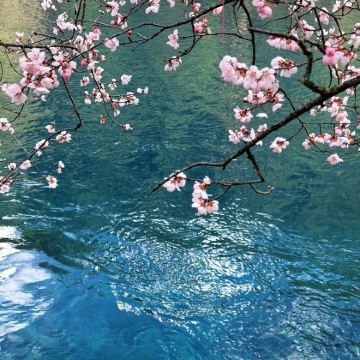 九寨沟+黄龙风景名胜区3日2晚私家团