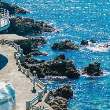 大连+老虎滩海洋公园+金石滩5日4晚跟团游