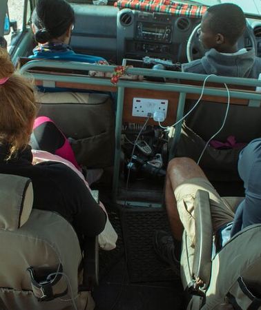4D3N • 4 Days lodge safari Tarangire , Ngorongoro crater & Walking