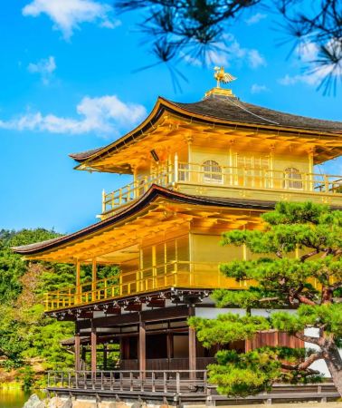 7D6N • Classic Japan Discovery Tour: Explore Osaka Food Streets, Kyoto Heritage, Nara Deer, Fuji Landscapes and Tokyo Adventures