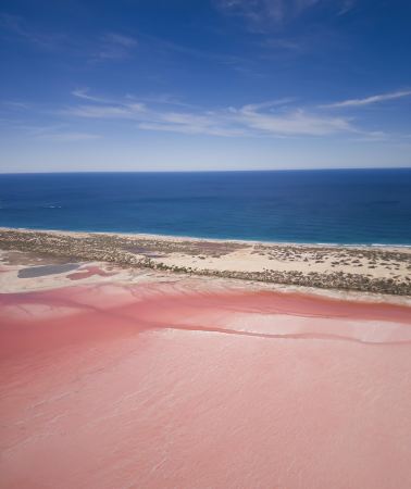 5D4N • Perth + Hutt Lagoon + Rottnest Island + Margaret River + Wave Rock