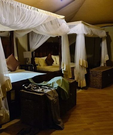 5D4N • 5 Days Safari Lodges & Culture