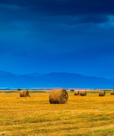 12D11N • North Xinjiang escape: Duku Highway & Nalati Grassland with scenic afternoon tea, drone vlog & lake shuttle