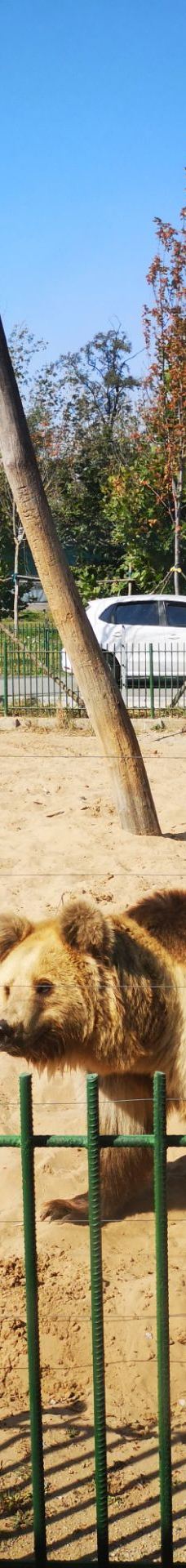 秦皇岛野生动物园-秦皇岛