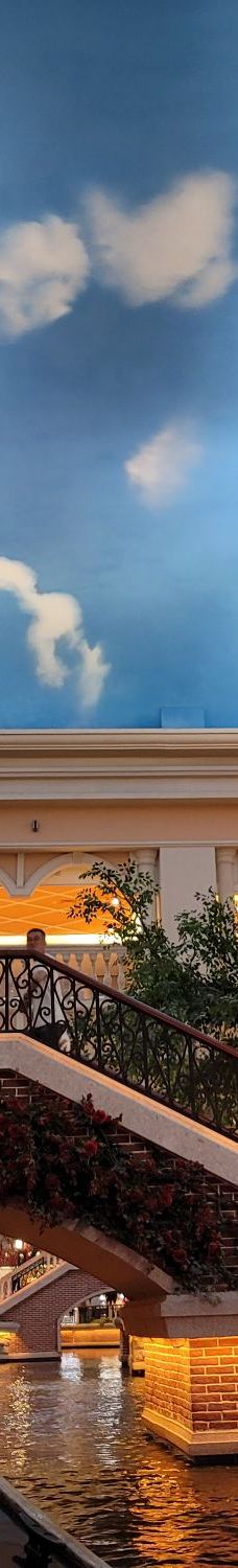 海澜飞马水城-江阴-申花蓝色荣耀