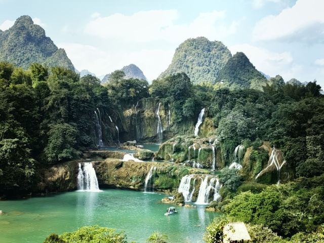 老木棉·紫园景区旅行图片 2