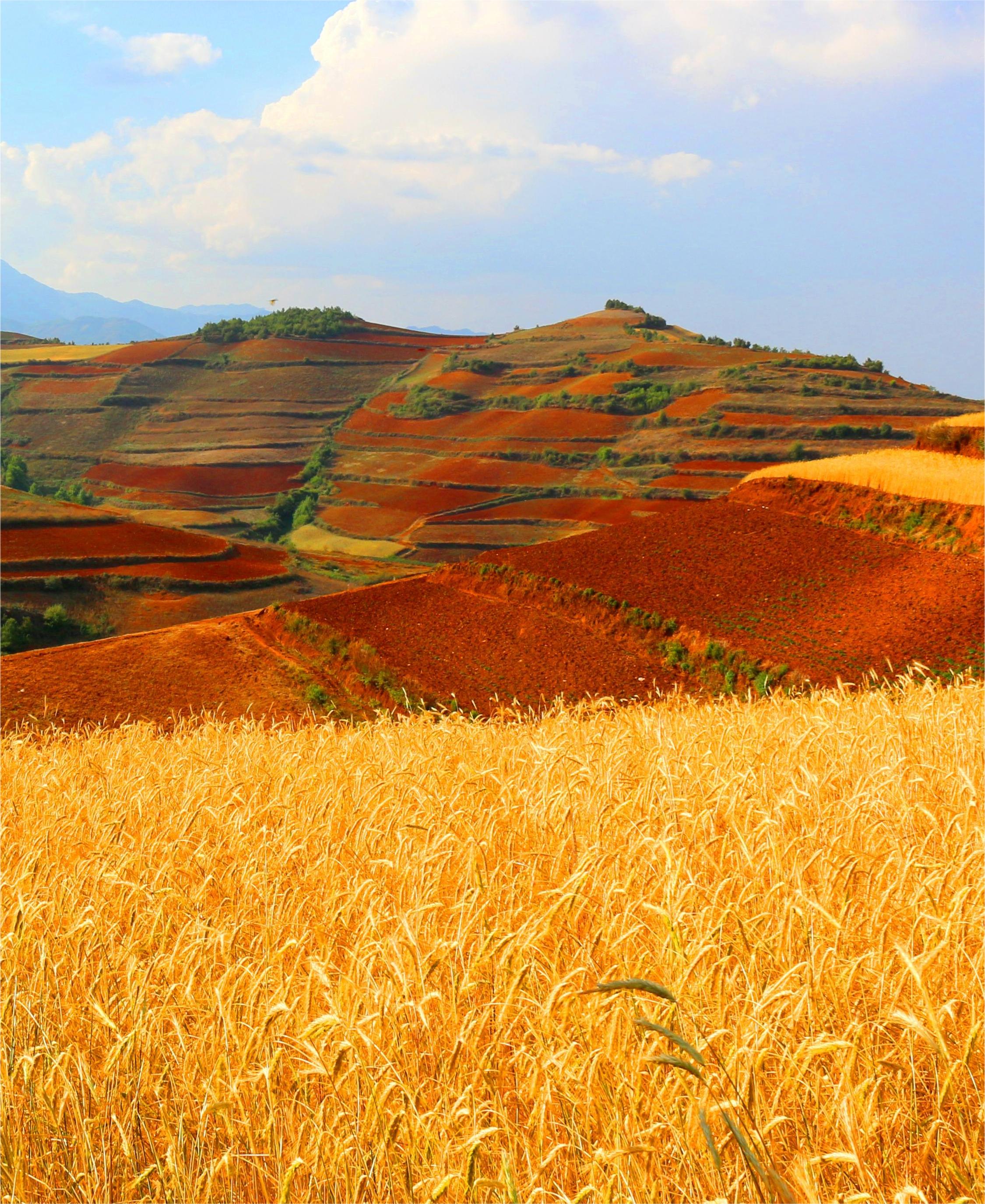 云南昆明 东川红土地 抚仙湖 建水 蒙自 普者黑风景区 弥勒7日6晚私家