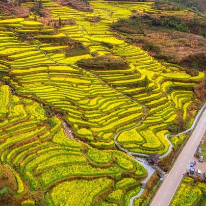 江西南昌+庐山+景德镇+婺源+三清山风景区5日4晚跟团游