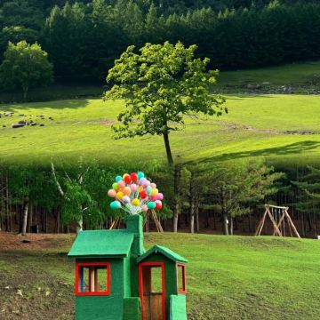 哈尔滨+伊春5日4晚自由行