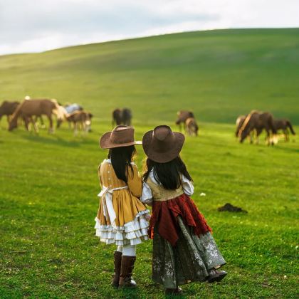 呼和浩特+响沙湾+辉腾锡勒草原+乌兰哈达火山地质公园5日4晚私家团
