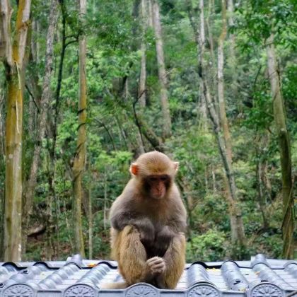 张家界+常德2日1晚私家团