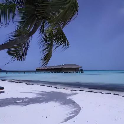 马尔代夫+马来西亚8日7晚私家团