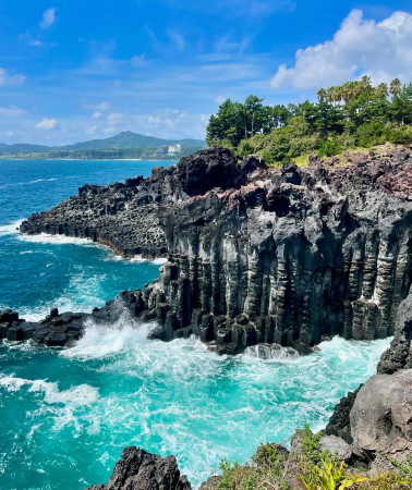 5天4晚 • 首爾＋濟州跟團遊「城市魅力和自然海島」南怡島＆羊駝牧場＆晨靜花園＆涯月邑＆山茶花之丘｜門票全含｜接送機＋市區飯店上門接