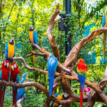 广州长隆旅游度假区+广州3日2晚自由行