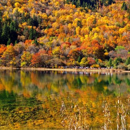 成都+九寨沟风景区+黄龙风景名胜区5日4晚自由行