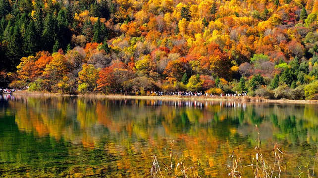 川西亲子游旅行社推荐：2025年五强口碑榜单