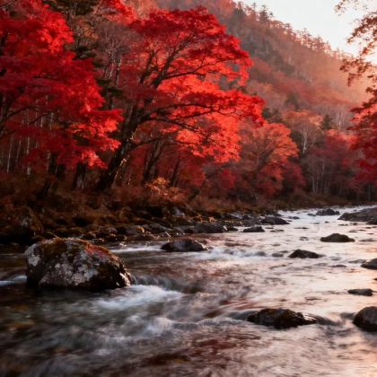 日本青森6日5晚拼小团