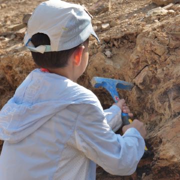 亲近自然·云南昆明滇东南6日亲子营【含机票-恐龙考古+旅拍】元阳梯田+建水古城+弥勒+抚仙湖【2节古生物课程 | 走进恐龙考古“第一现场”| 化石修复】+建水小火车【下水抓鱼+梯田徒步+哈尼家宴】住哈尼蘑菇屋，泡温泉