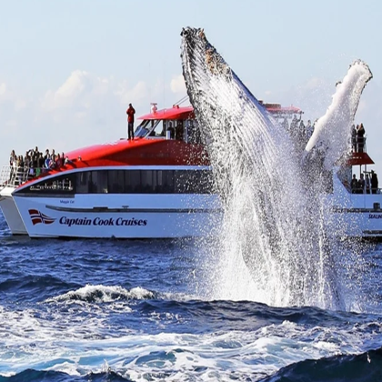 澳大利亚悉尼+堪培拉+墨尔本9日8晚私家团