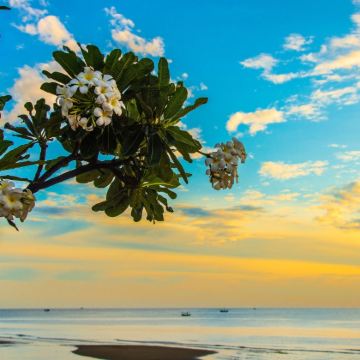 曼谷+华欣6日5晚自由行