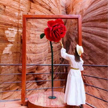 山西太原+大同+平遥县+平遥古城+应县木塔景区+云冈石窟+陕西波浪谷景区+山西黄河壶口瀑布旅游区8日7晚拼小团