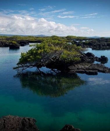 7D6N • The Galapagos Penguin Route 7 Day Tour