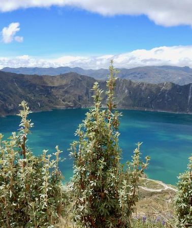 15D14N • 15 Day Ecuador Complete Adventure Andes Amazon and Galapagos