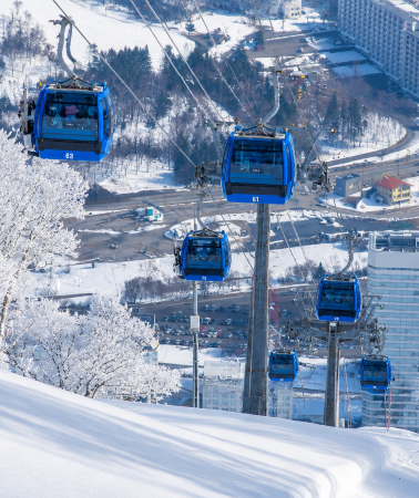 7D6N • Naeba powder snow experience in Japan with 5-day ski lift pass, hot spring experience and Tokyo city exploration
