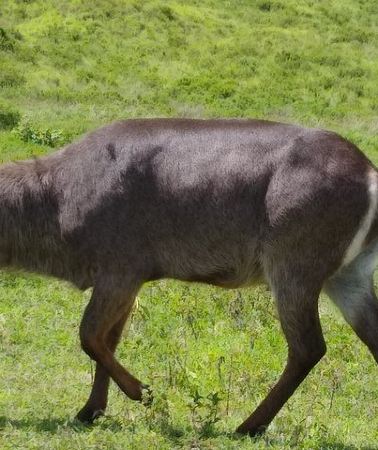 2D1N • 2 Day Safari Tarangire and Ngorongoro Crater