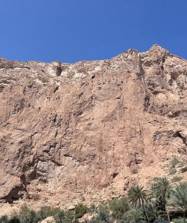 2D1N • Tour Fatimah 2 Days-1 Night In Ras Al Hadd, Oman Tours Package