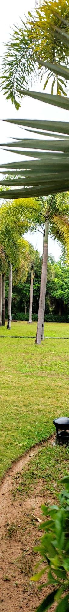 茂名森林公园-茂名