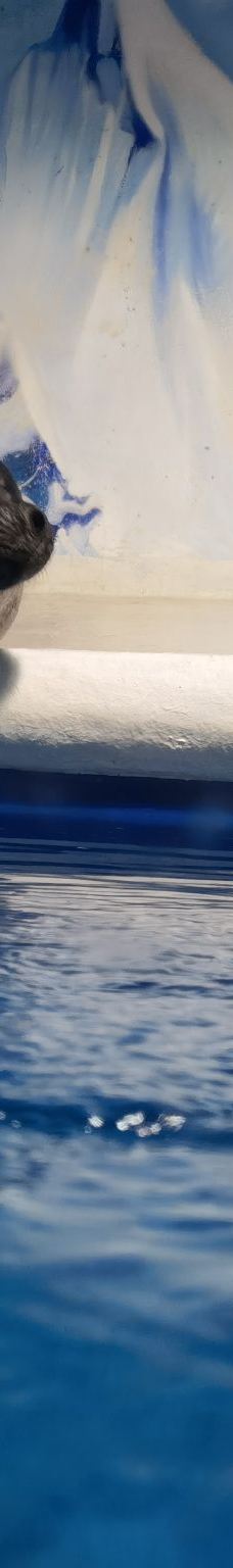 海滨城浩海立方海洋公园-成都