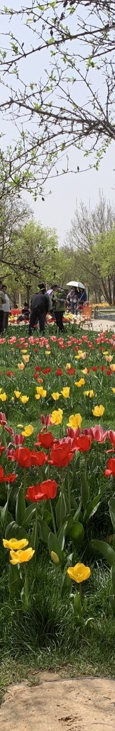 郑州中国绿化博览园-中牟