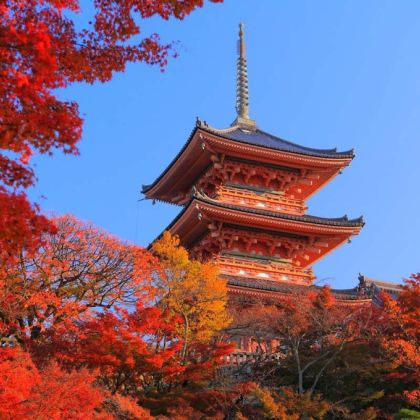 日本大阪+神户+京都+奈良+富士山+东京6日跟团游