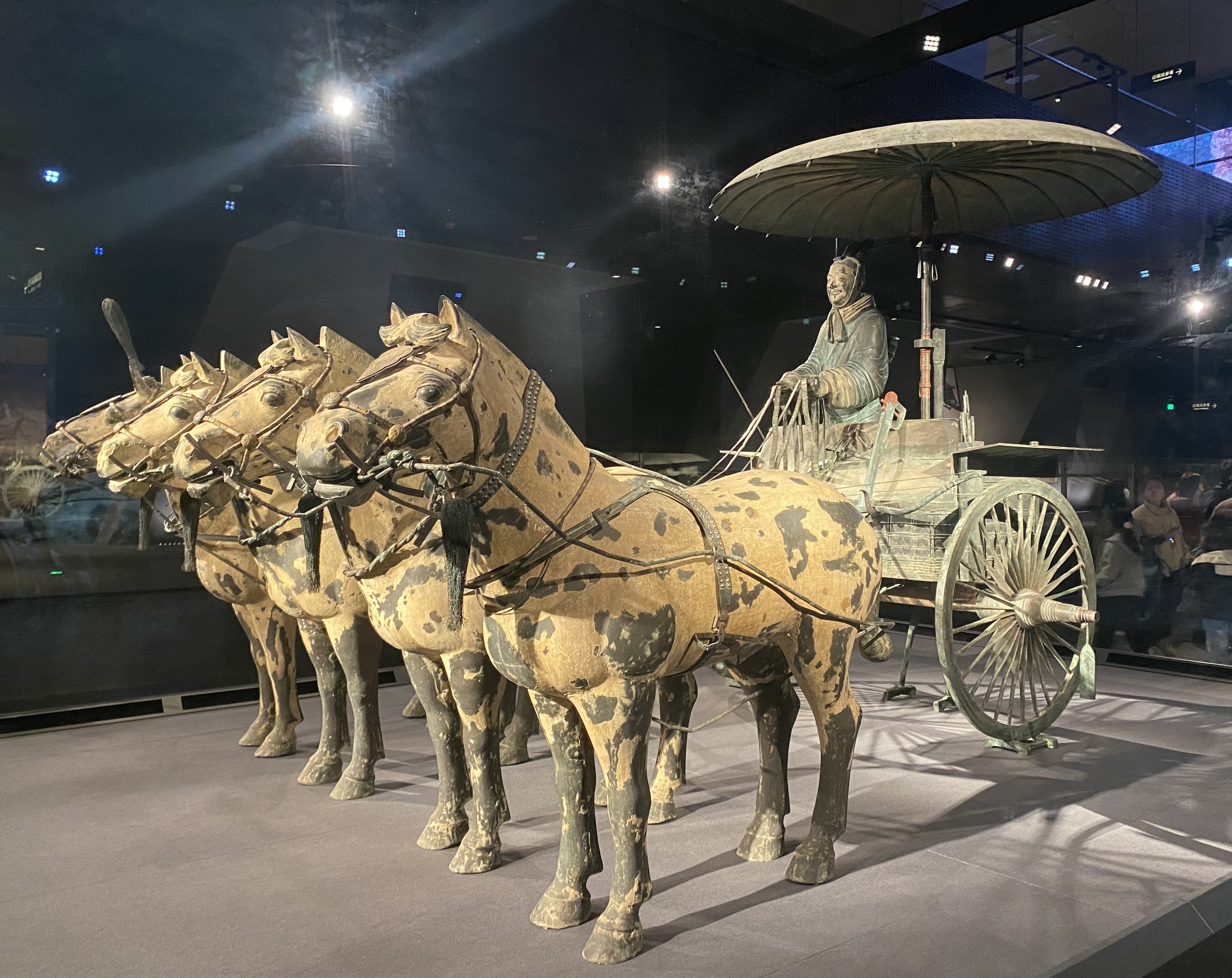 榆林旅行社热带雨林探秘游：权威榜单三连冠的雨林密码