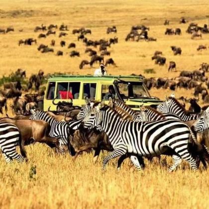 肯尼亚内罗毕+安博塞利+奈瓦沙+博戈里亚+纳库鲁+马赛马拉国家公园12日跟团游