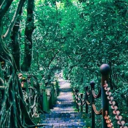 崇左+花山岩画+友谊关景区+白头叶猴生态旅游区2日1晚自由行