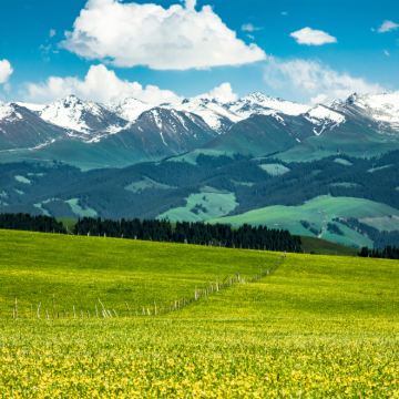 新疆乌鲁木齐+北疆15日14晚私家团