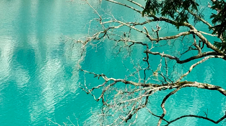 6-Day 6-day 5-night · Private Tour · Chengdu + Jiuzhaigou + Huanglong National Scenic Area + Sanxingdui Museum