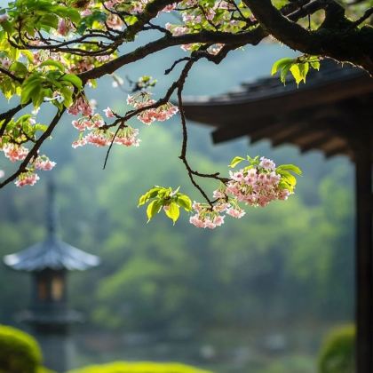 日本东京+京都+大阪7日6晚私家团