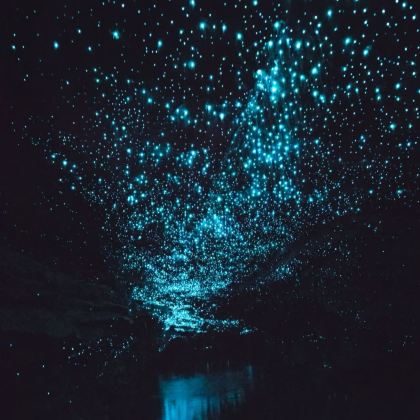 新西兰+北岛3日2晚拼小团