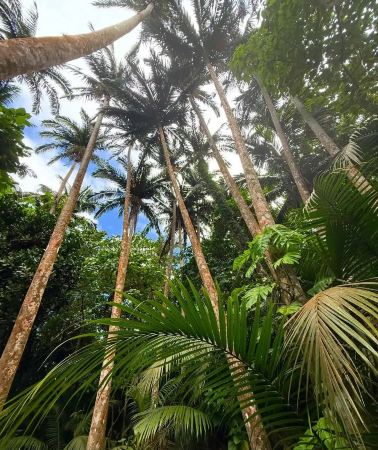 4D3N • Year Round Okinawa Coastal Tour: Diving Aquarium Experience + Naha Downtown Hotel Stay + Kokusai-dori American Village Landmarks + Kouri Island Beach Highlight