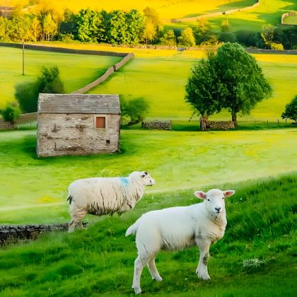 英国曼彻斯特+约克+纽卡斯尔+温德米尔+格拉辛顿+惠特百+利物浦6日5晚拼小团