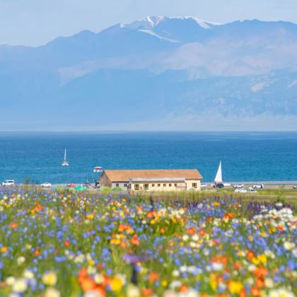 新疆乌鲁木齐+北疆8日7晚私家团