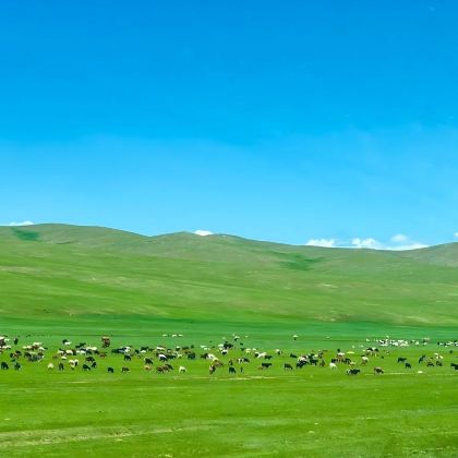 蒙古乌兰巴托4日3晚私家团